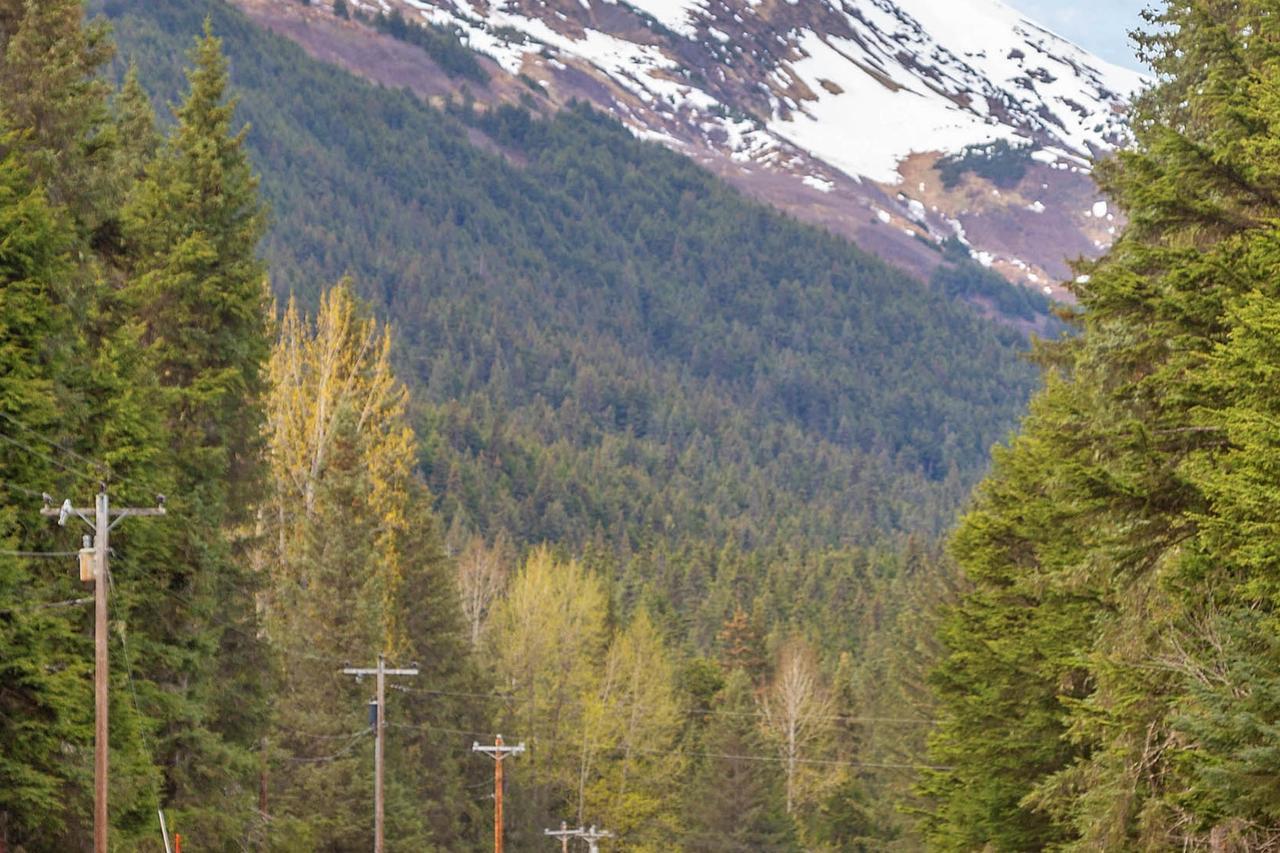 Skiview #103 Girdwood Extérieur photo